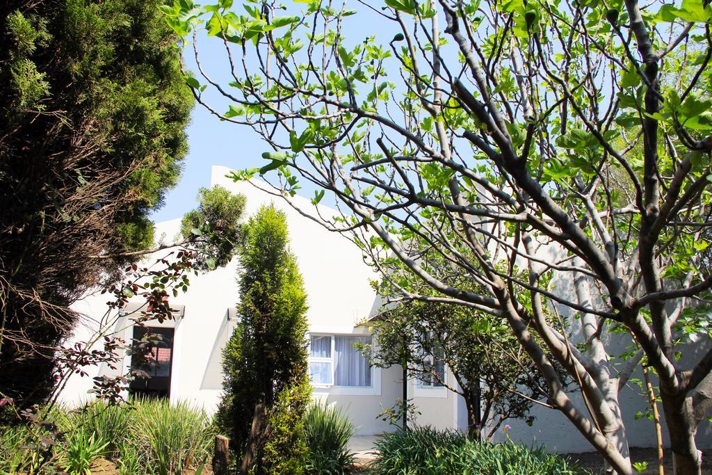 La Coscello Guest House Edenvale Exterior photo