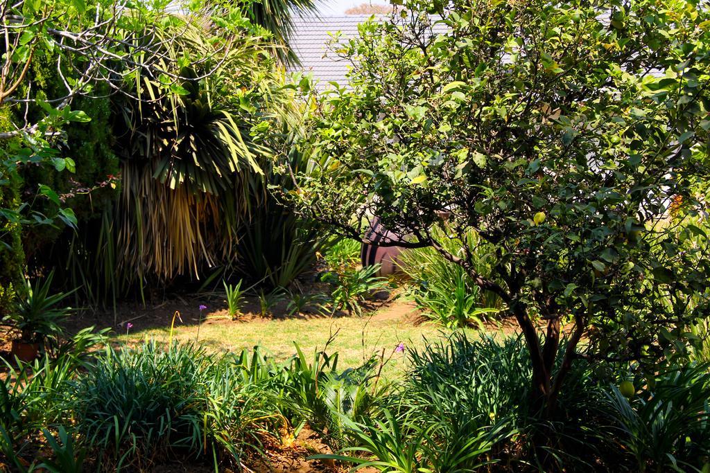 La Coscello Guest House Edenvale Exterior photo